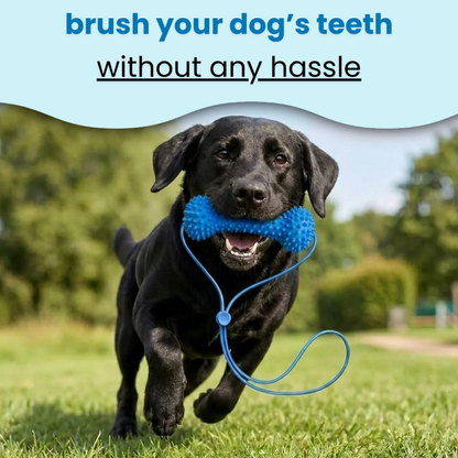 dental brushing tool