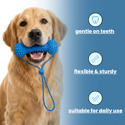 dental brushing tool