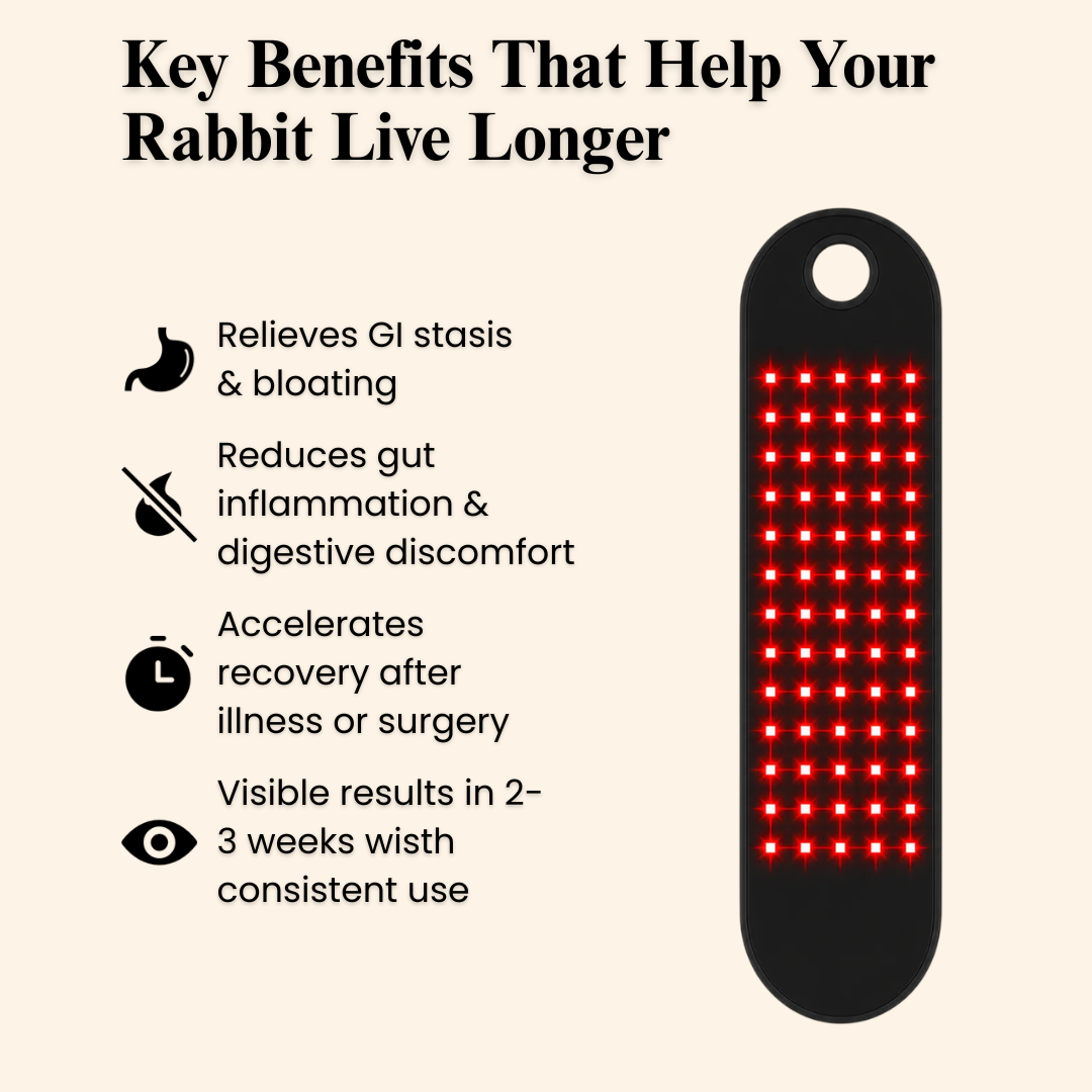 Lumai Red Light Therapy Wrap