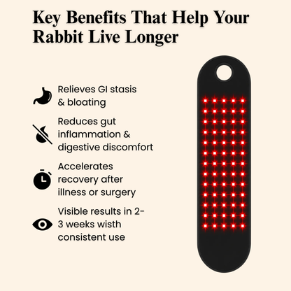 Lumai Red Light Therapy Wrap
