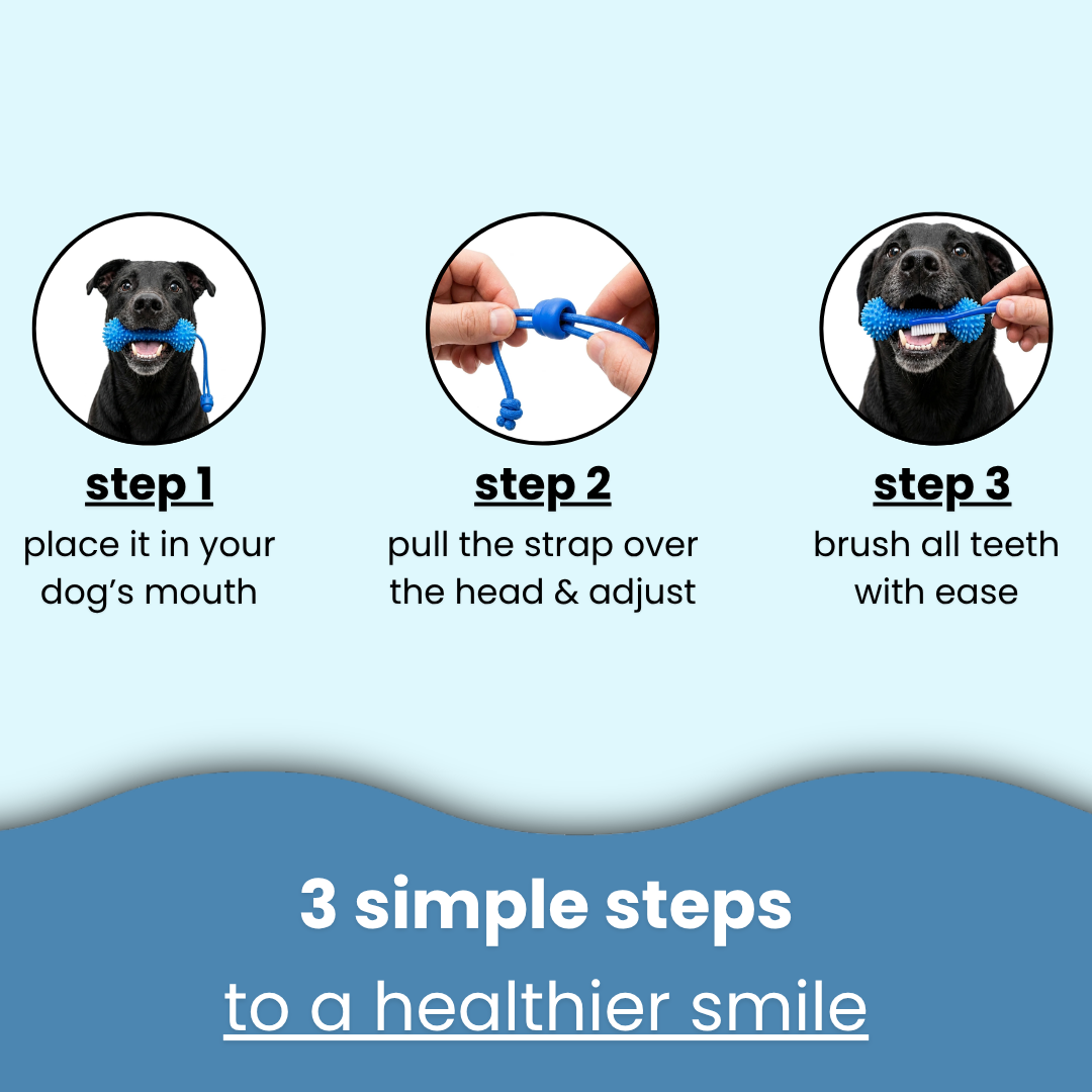 dental brushing tool