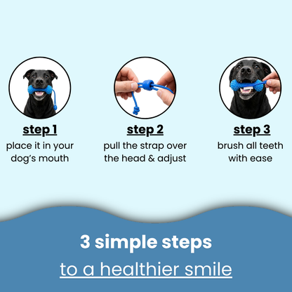 dental brushing tool